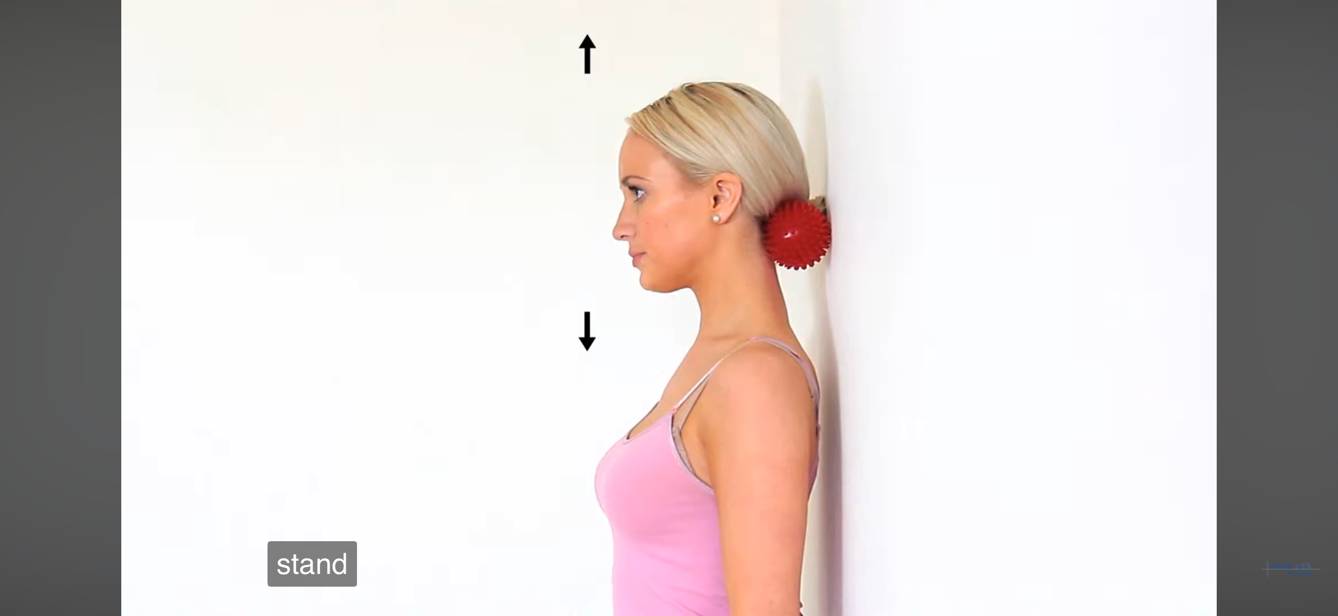 Rest ball below skull base