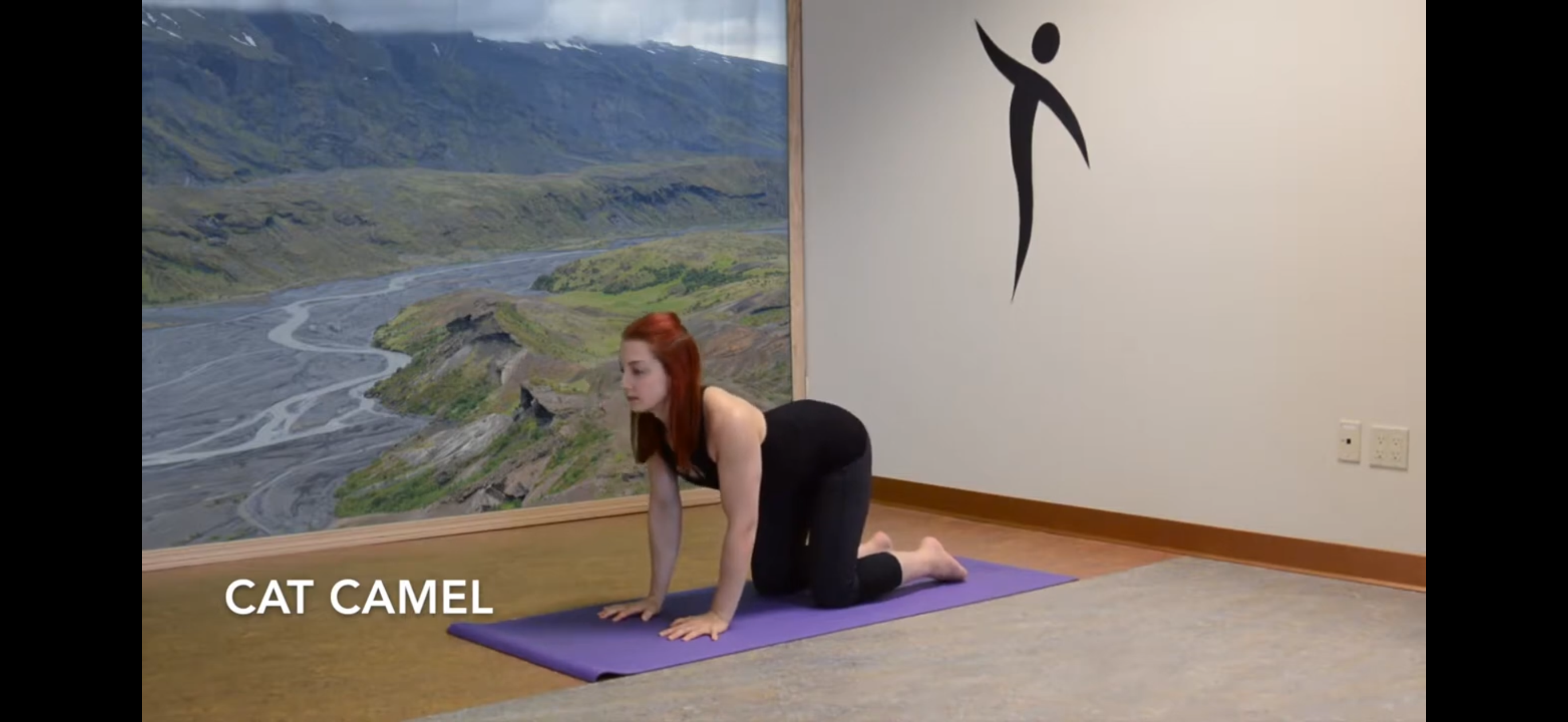 Lower back down (cow)