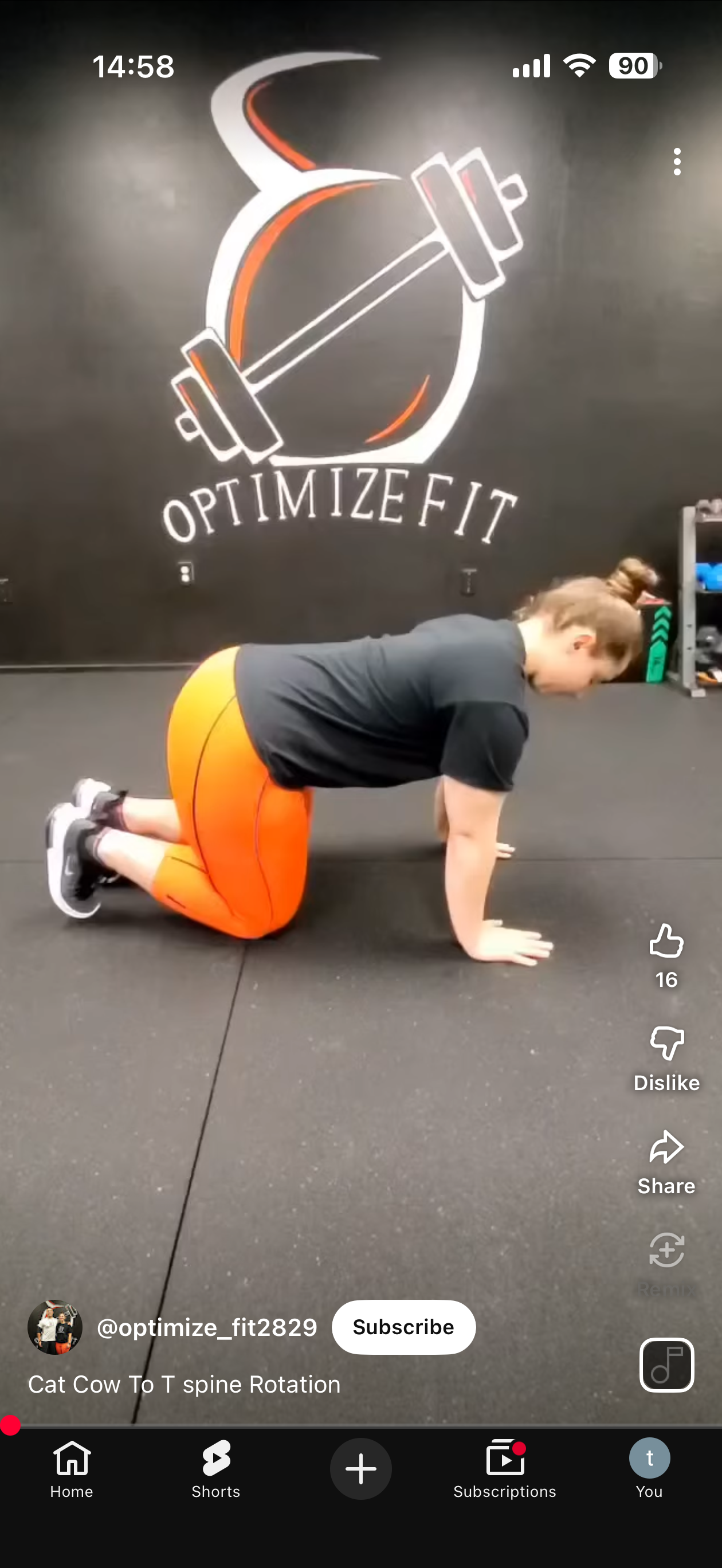 Assume quadruped position