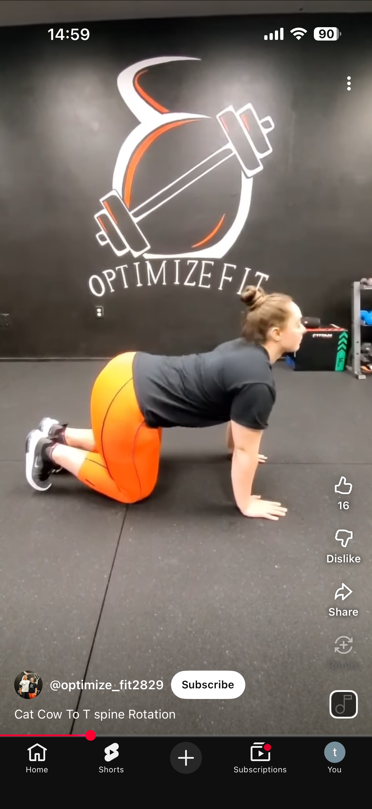 Cat position (spinal flexion)